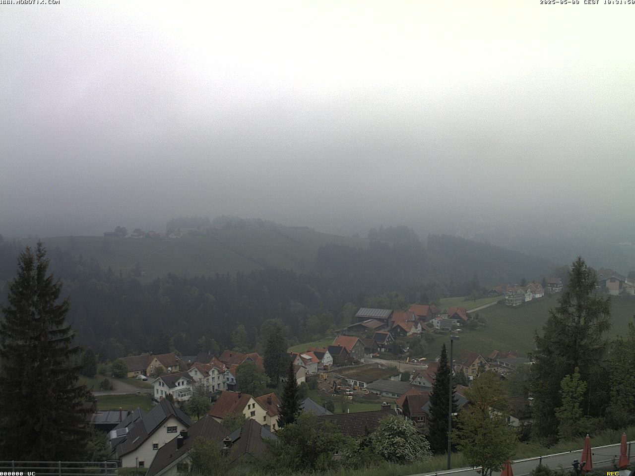 Camera Live Image
