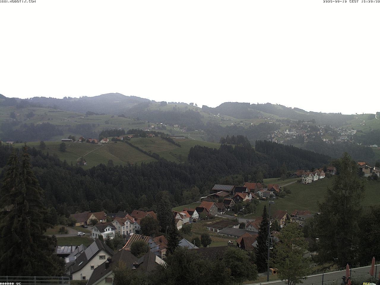 Camera Live Image