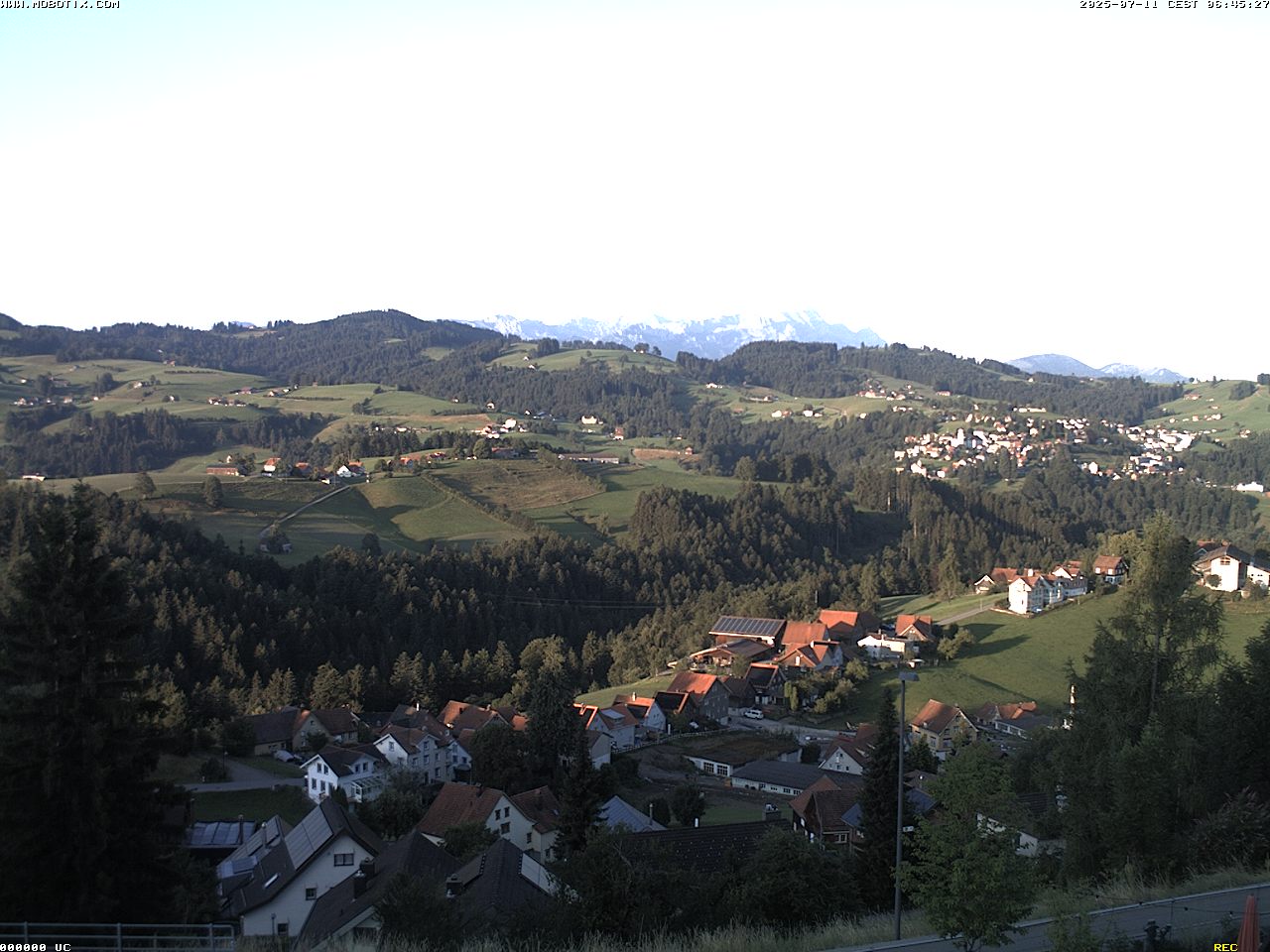 Camera Live Image