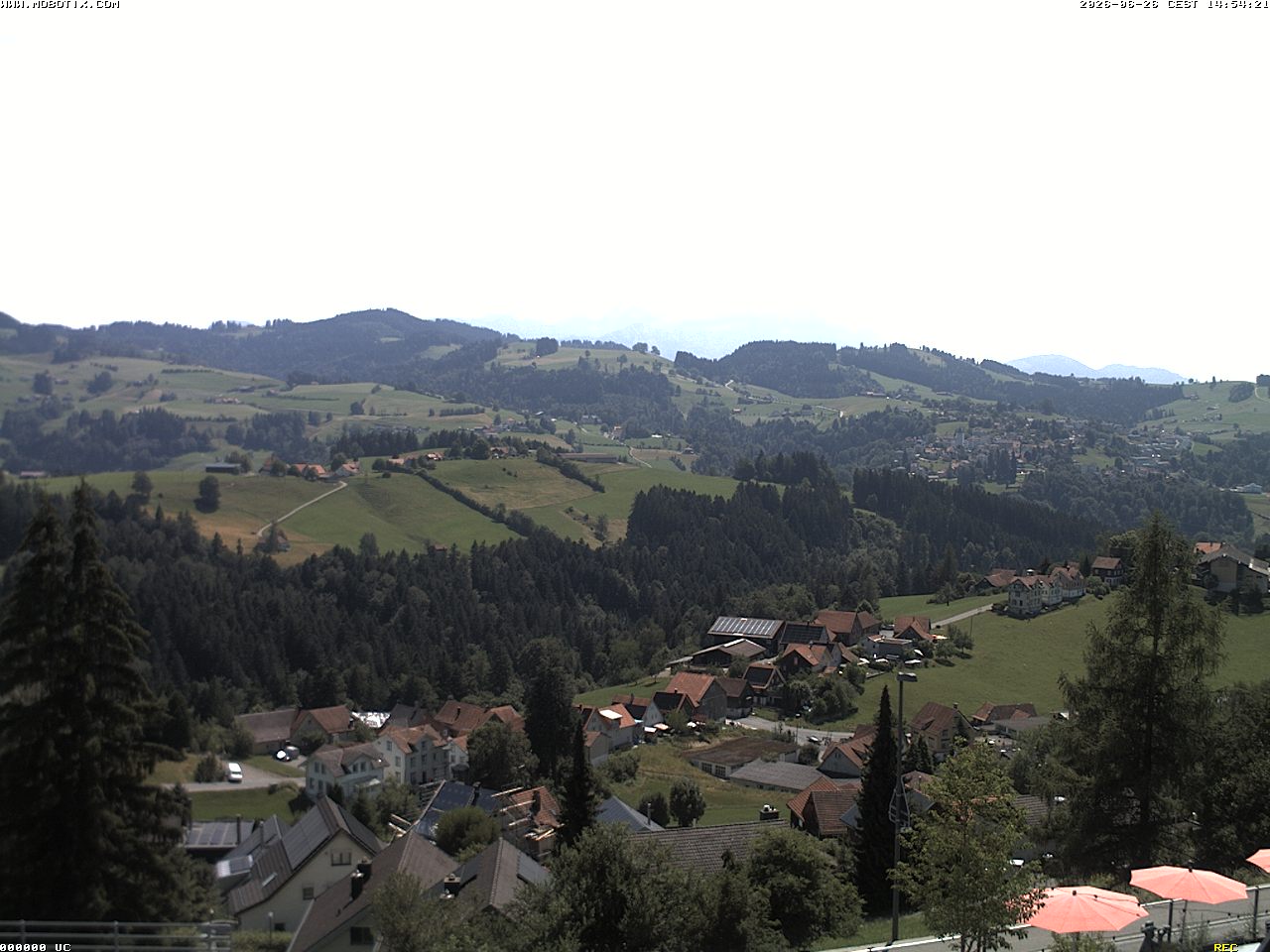 Camera Live Image