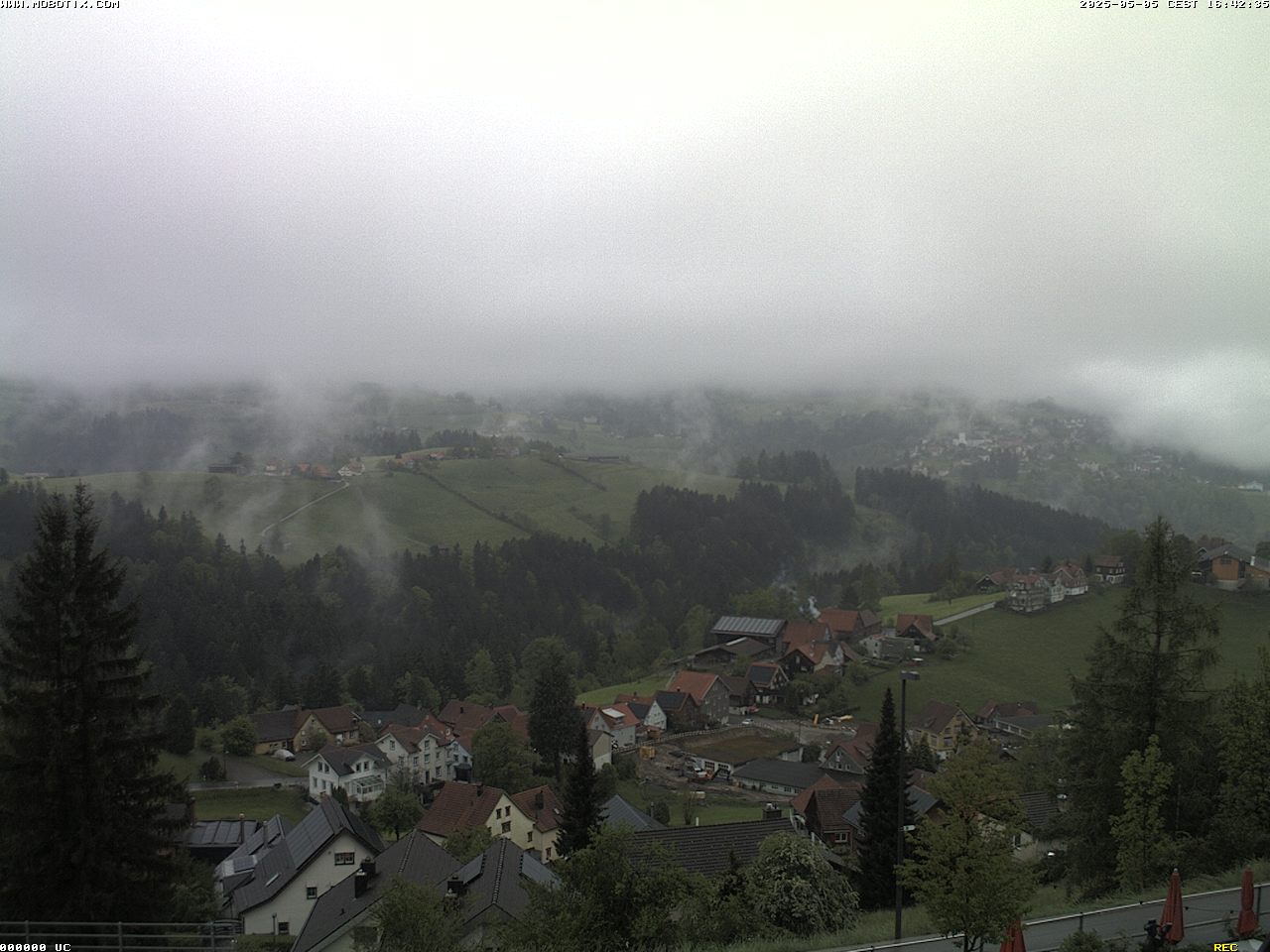 Camera Live Image