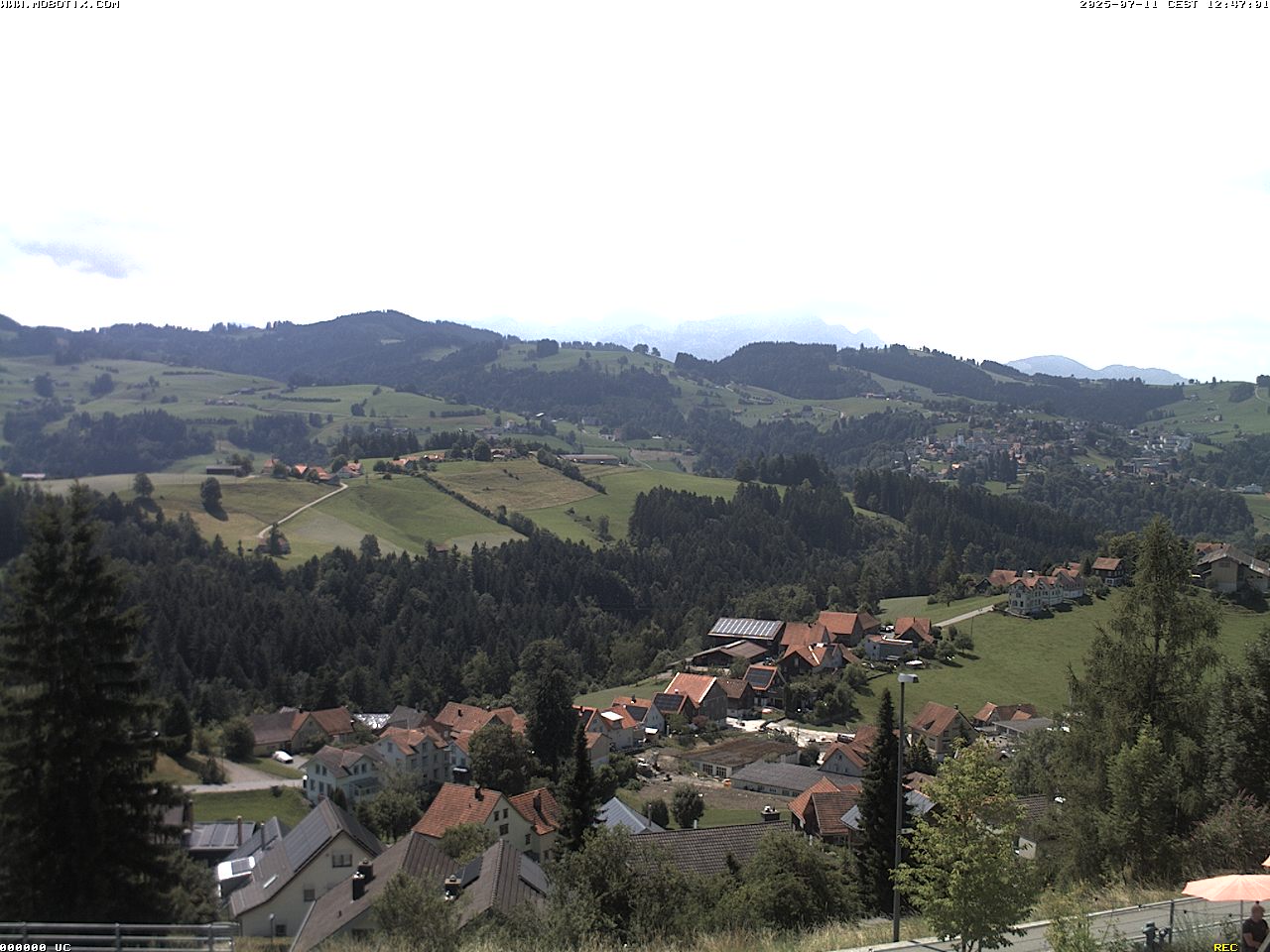 Camera Live Image