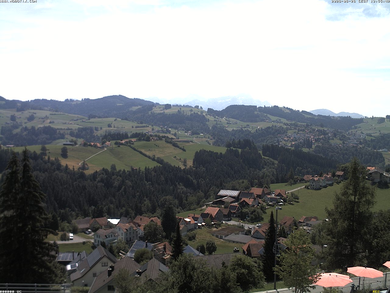 Camera Live Image
